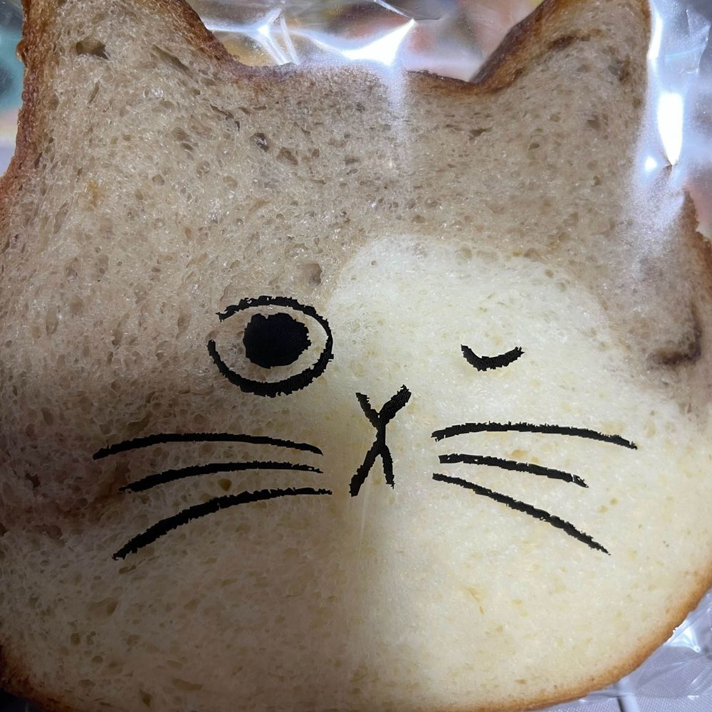 🍚推しのごし
