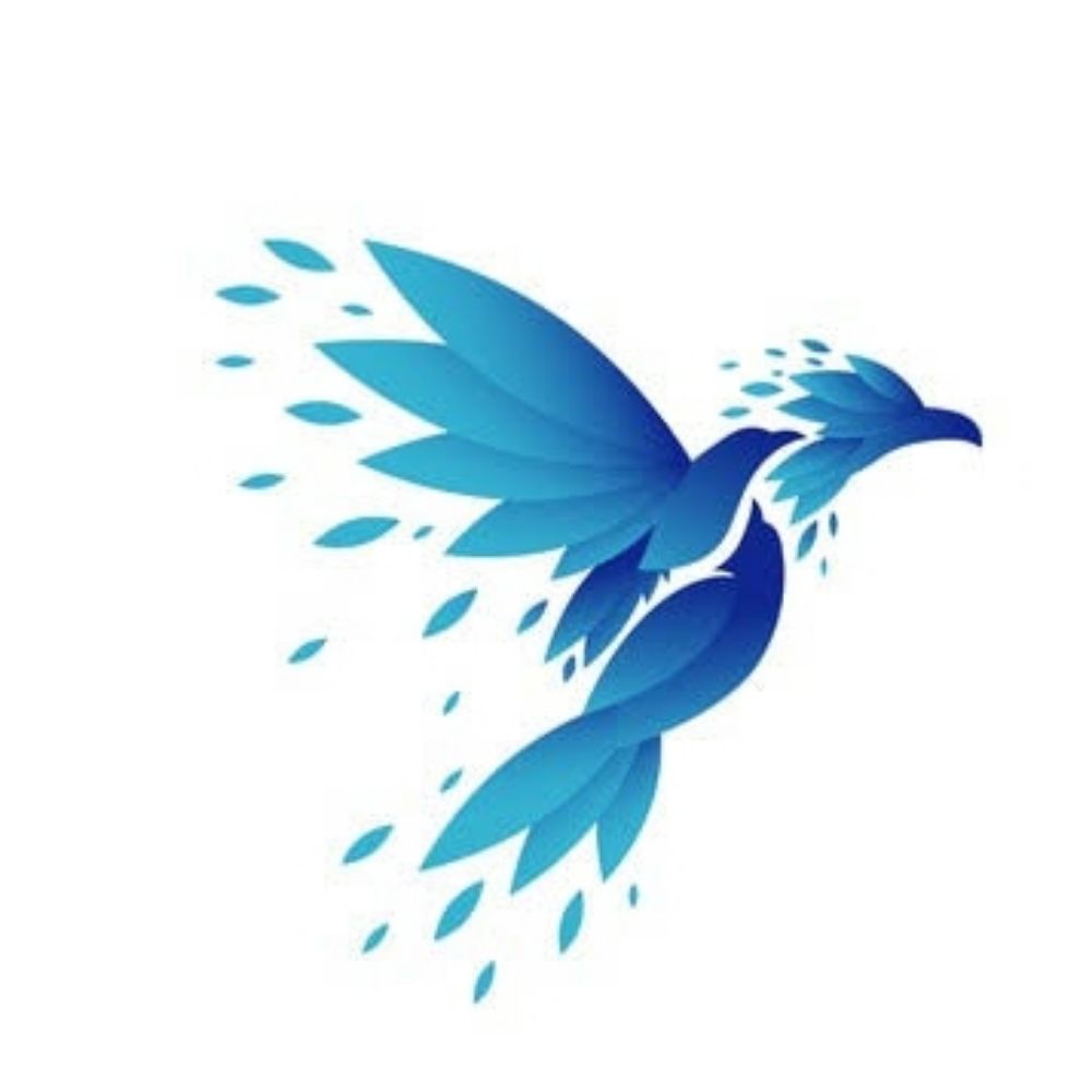 Crpto Bird