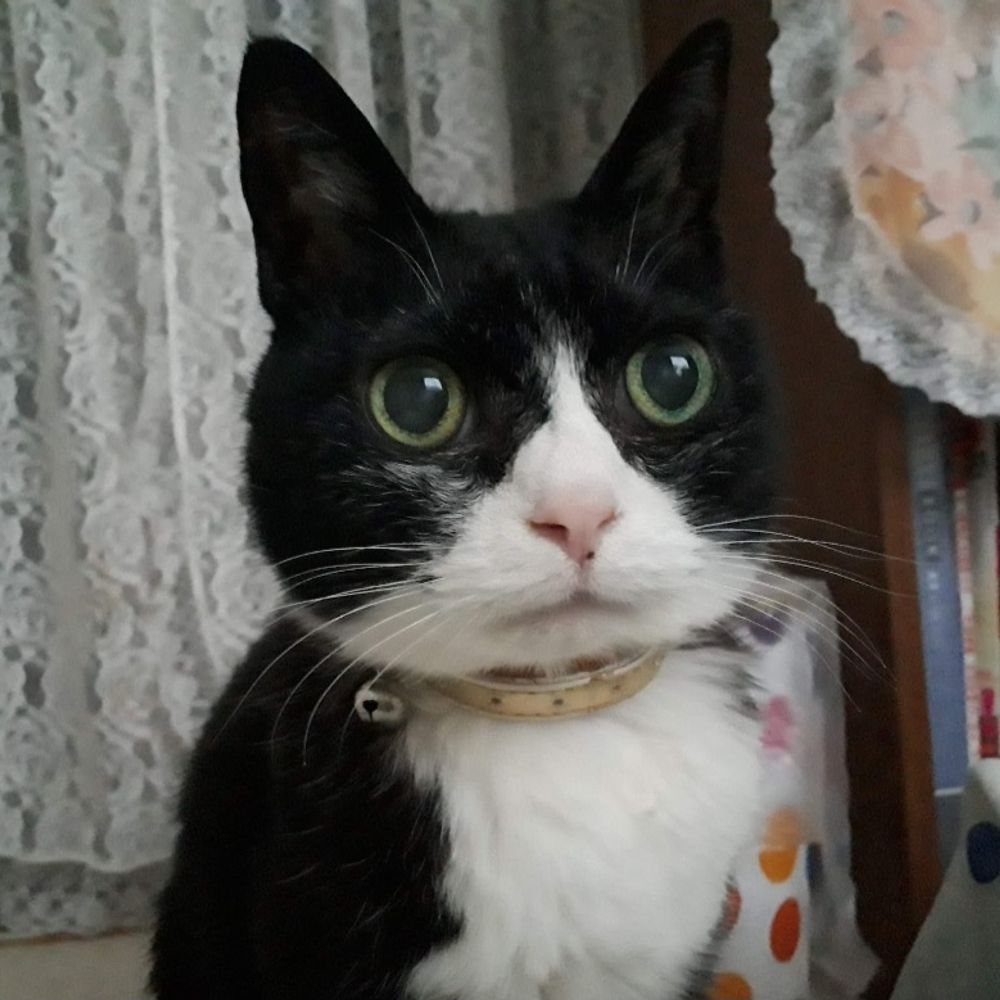 ちぃ