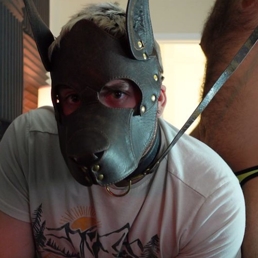 Profile picture nomadpup.bsky.social