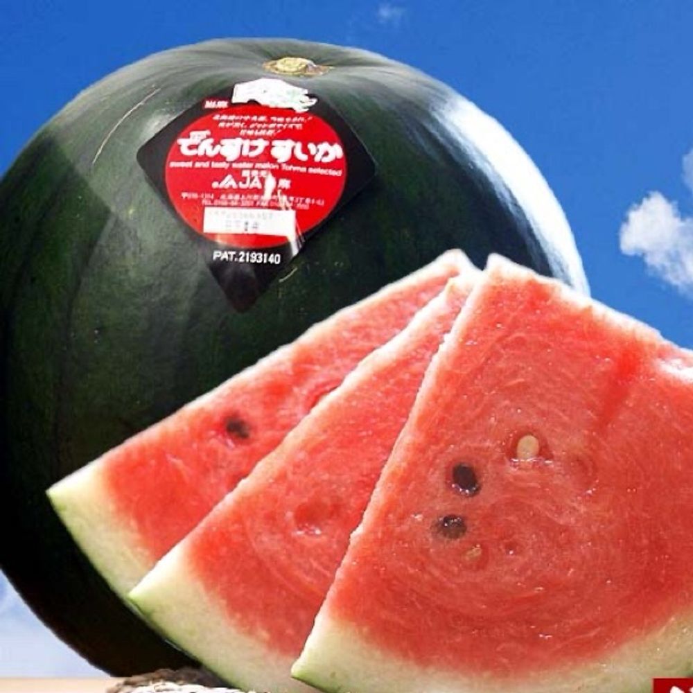 🍉でんすけすいか🍒