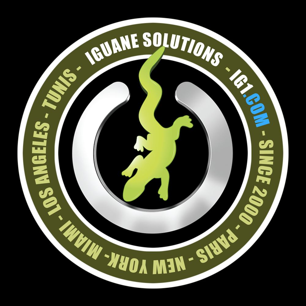 Iguane Solutions