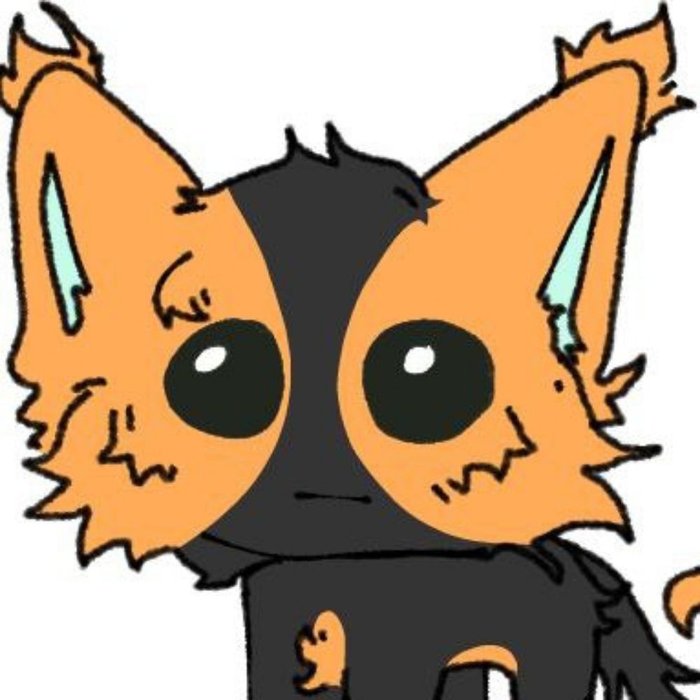 Kitwelcom 