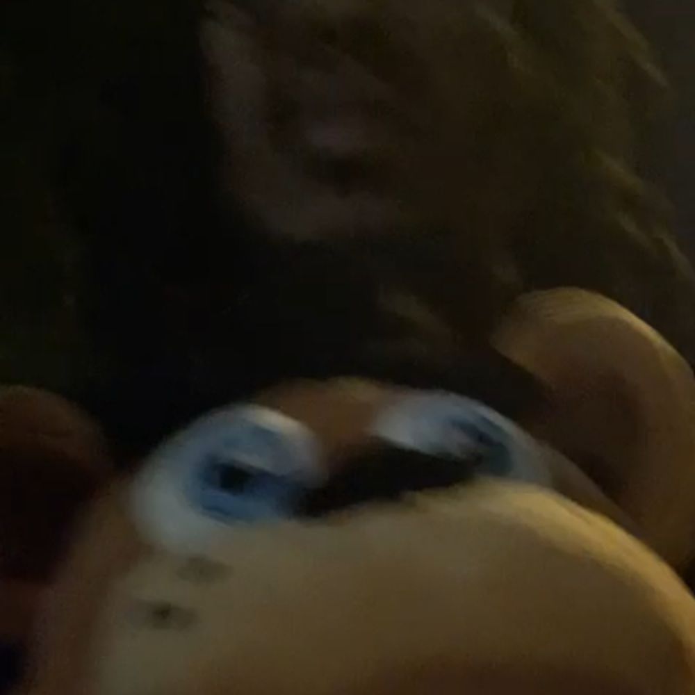 zardnem