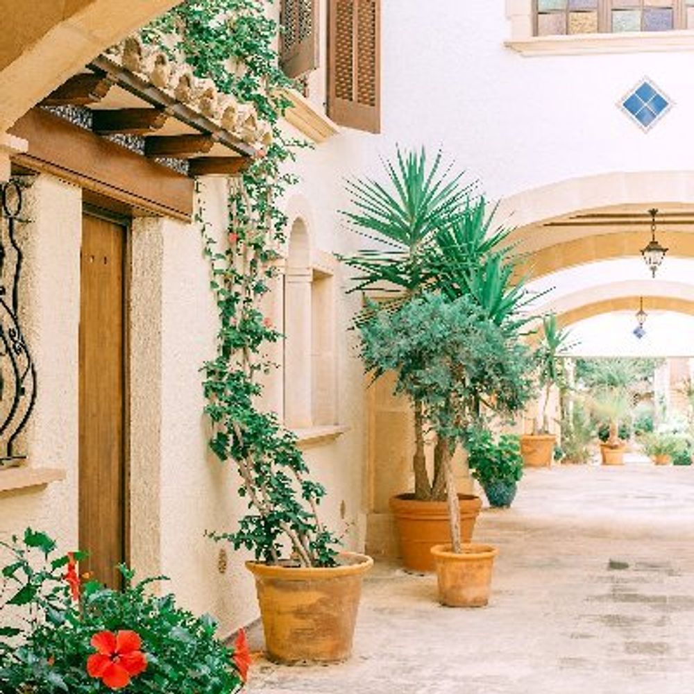 Living Mediterranean