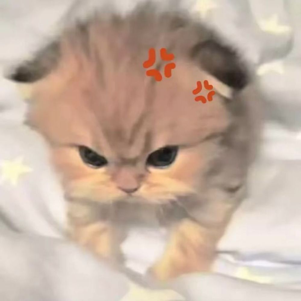 Phelng rạk ~.◜◡◝
