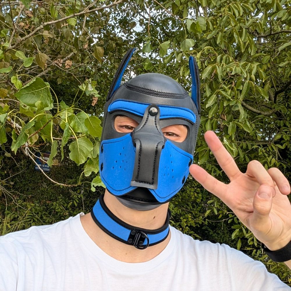 Nitro 🐾