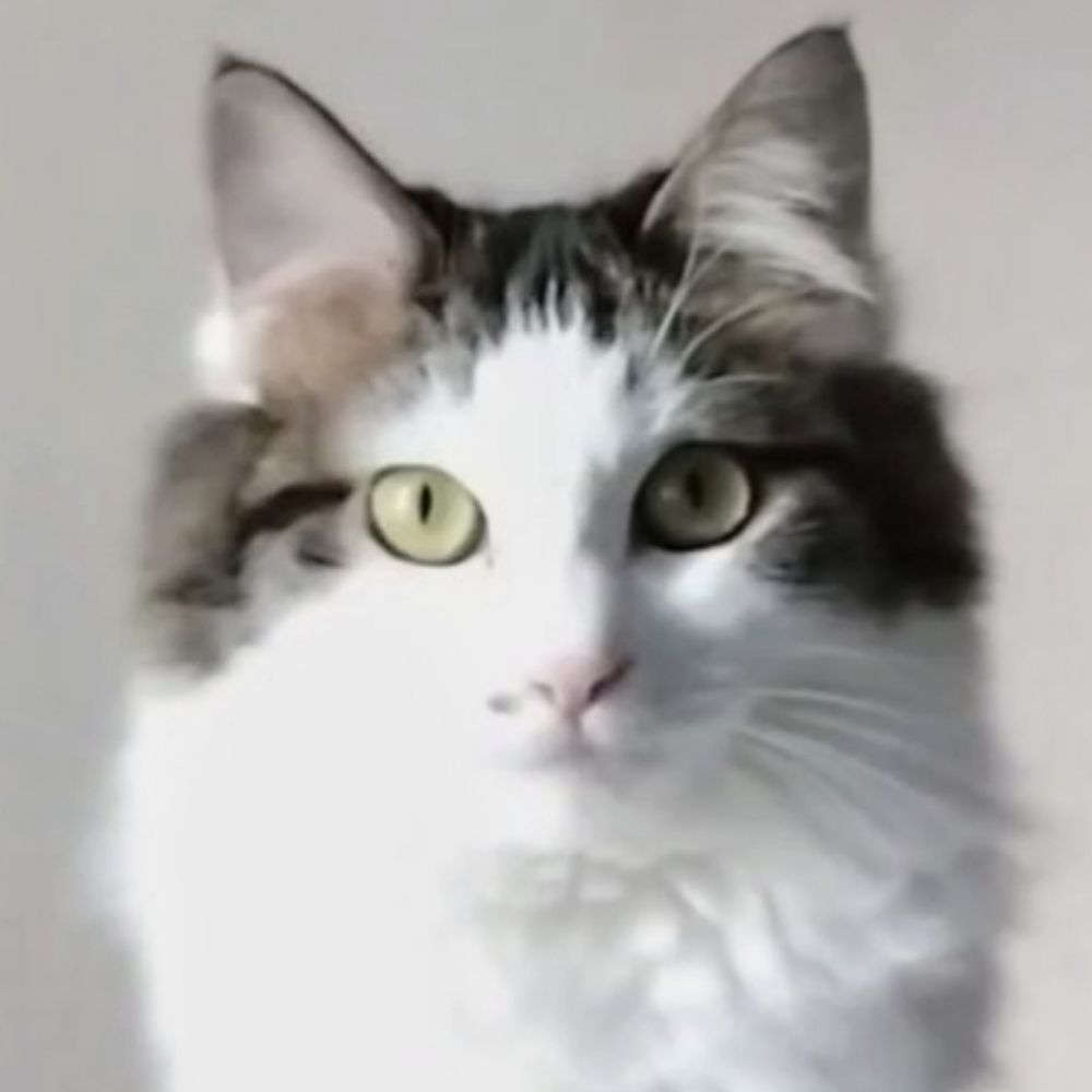 おりえ