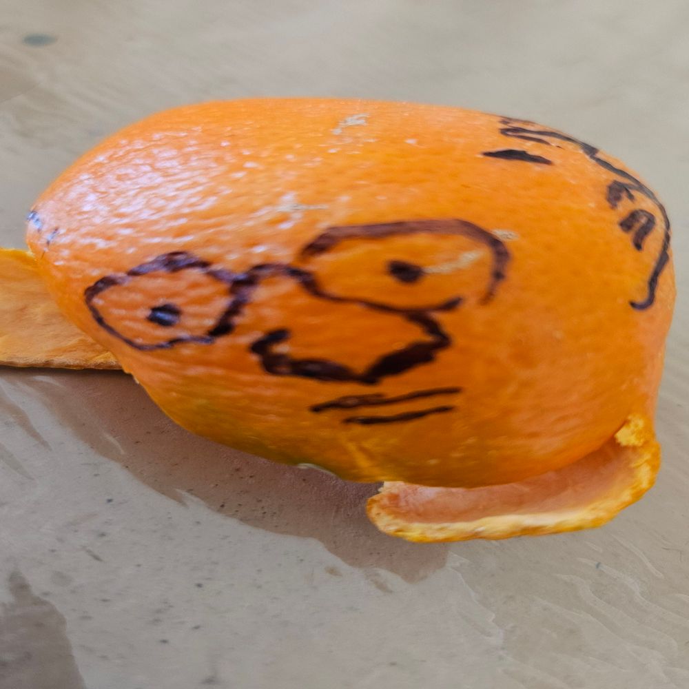 l'orange