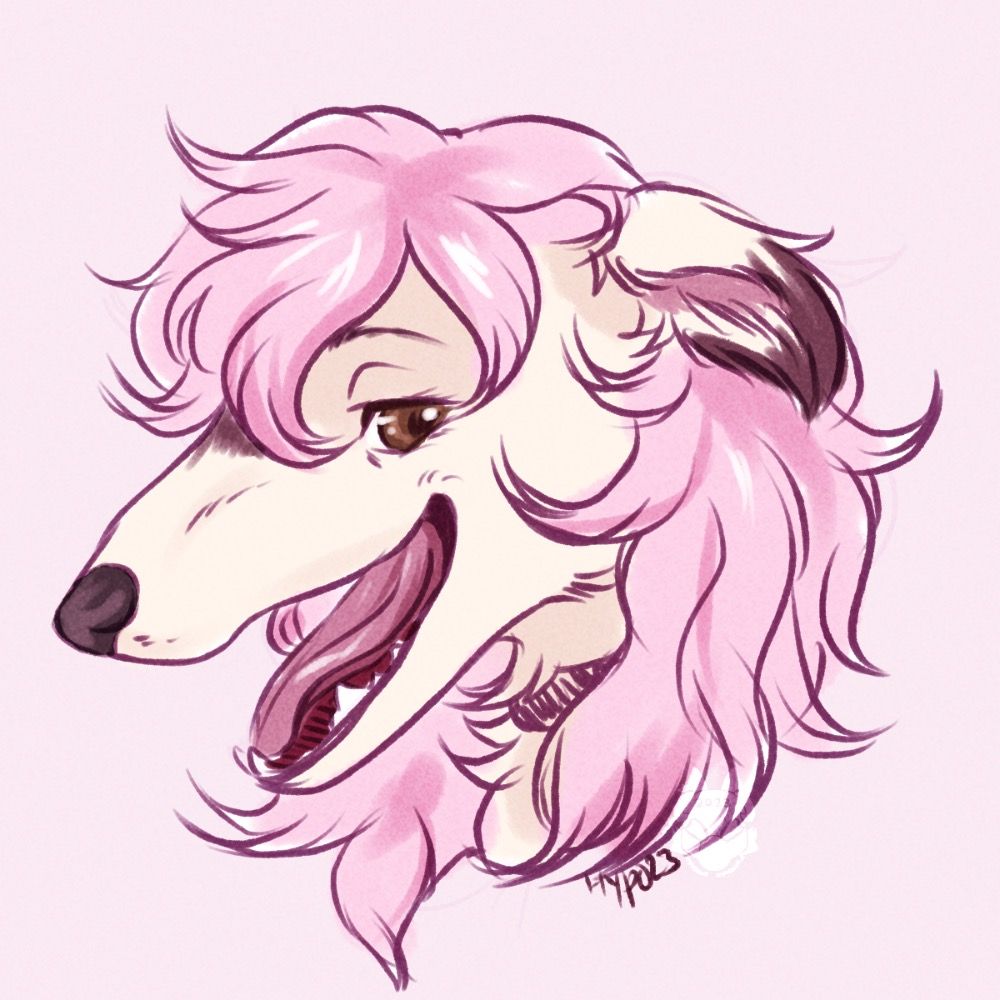 funy long dog