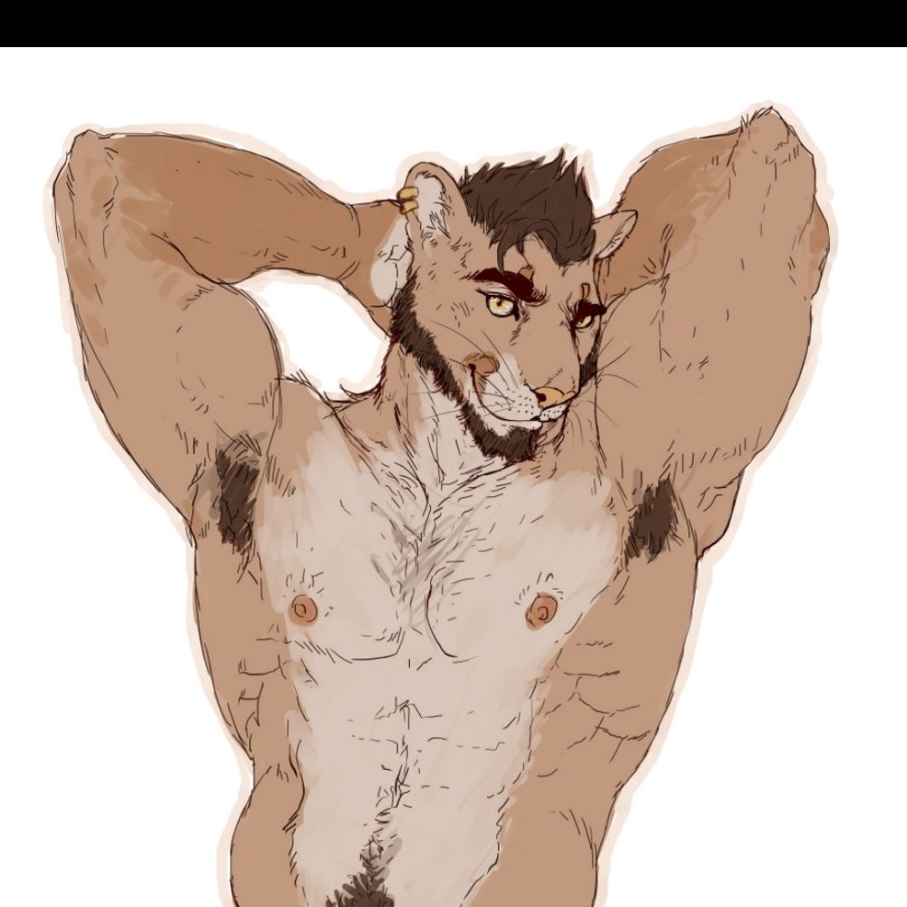 archerr2711.bsky.social profile picture