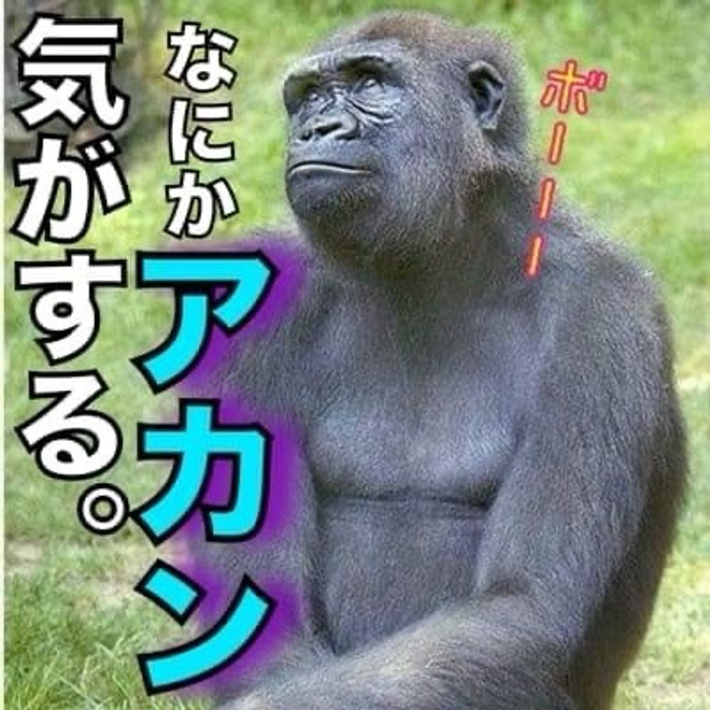 yume