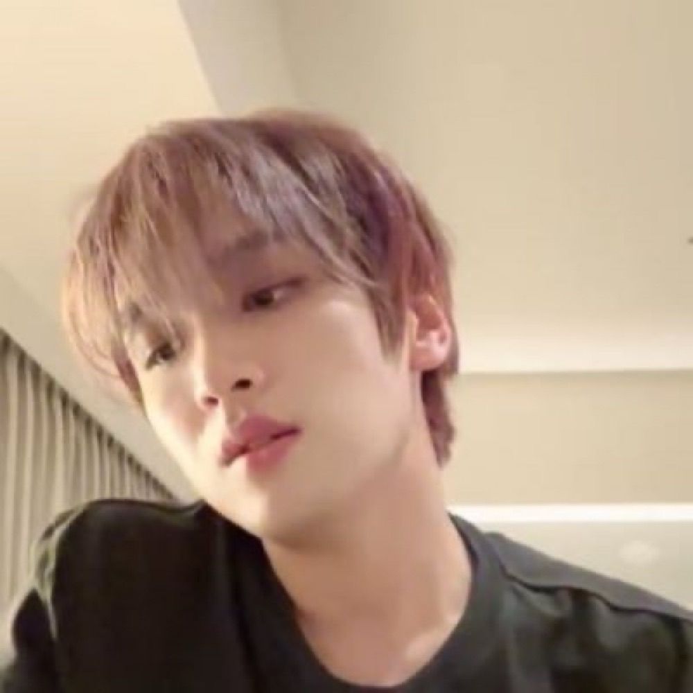 준식 ʕ˙Ⱉ˙:‧ʔ