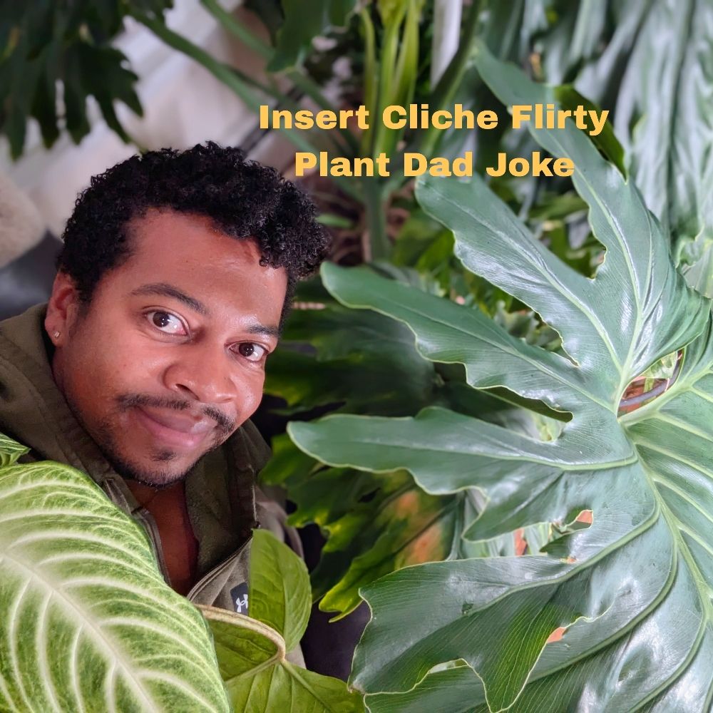 Jonathan Se-Ca