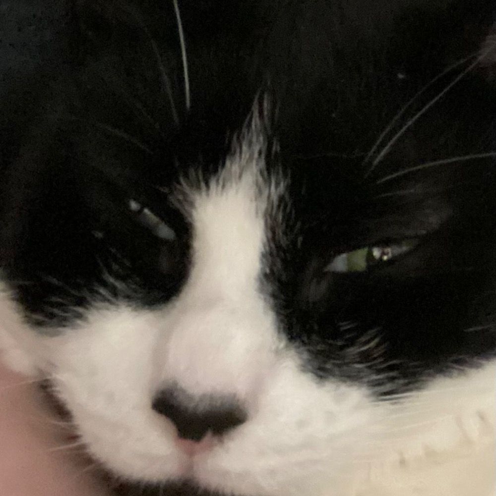 Sam