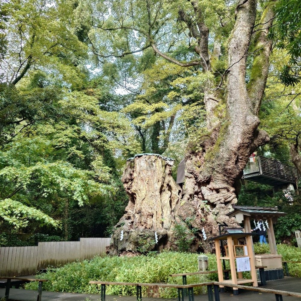 すいれん