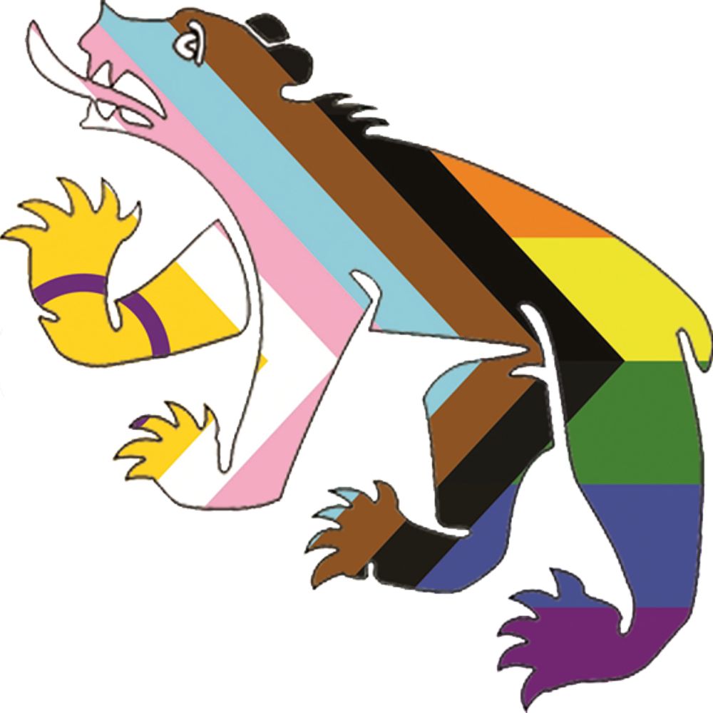 hab queer bern