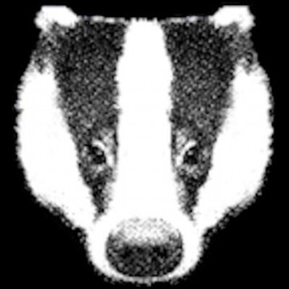 BadgerlandCoUk