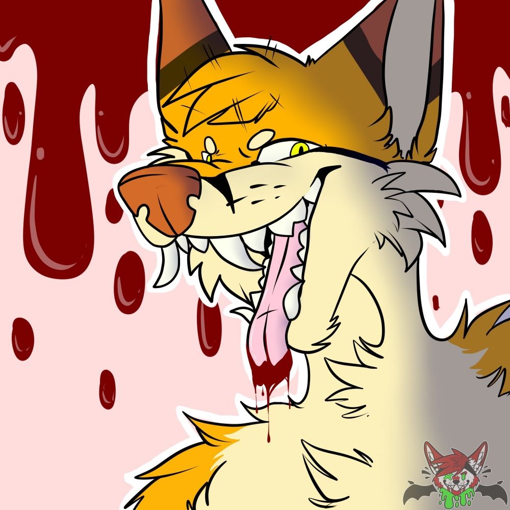 LoonFoxy