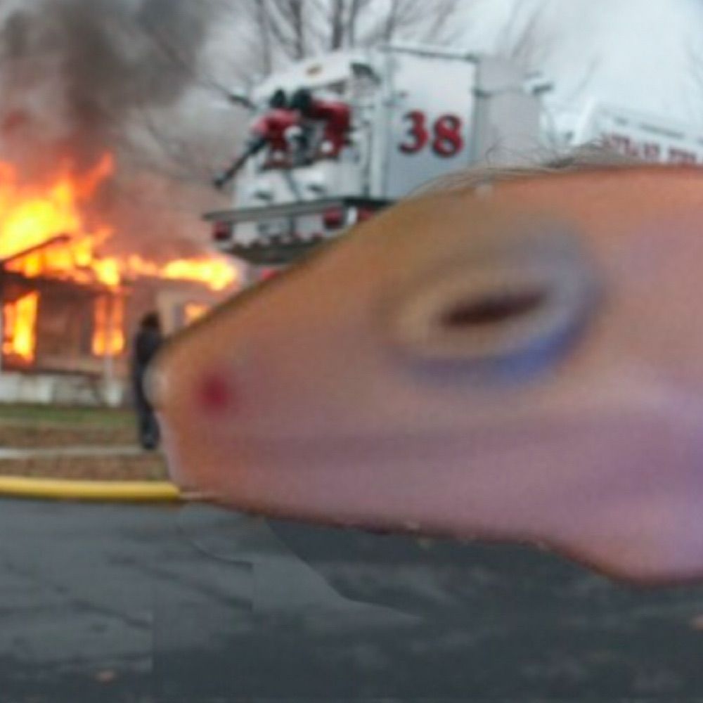 PinaTheLegallyBlindGecko