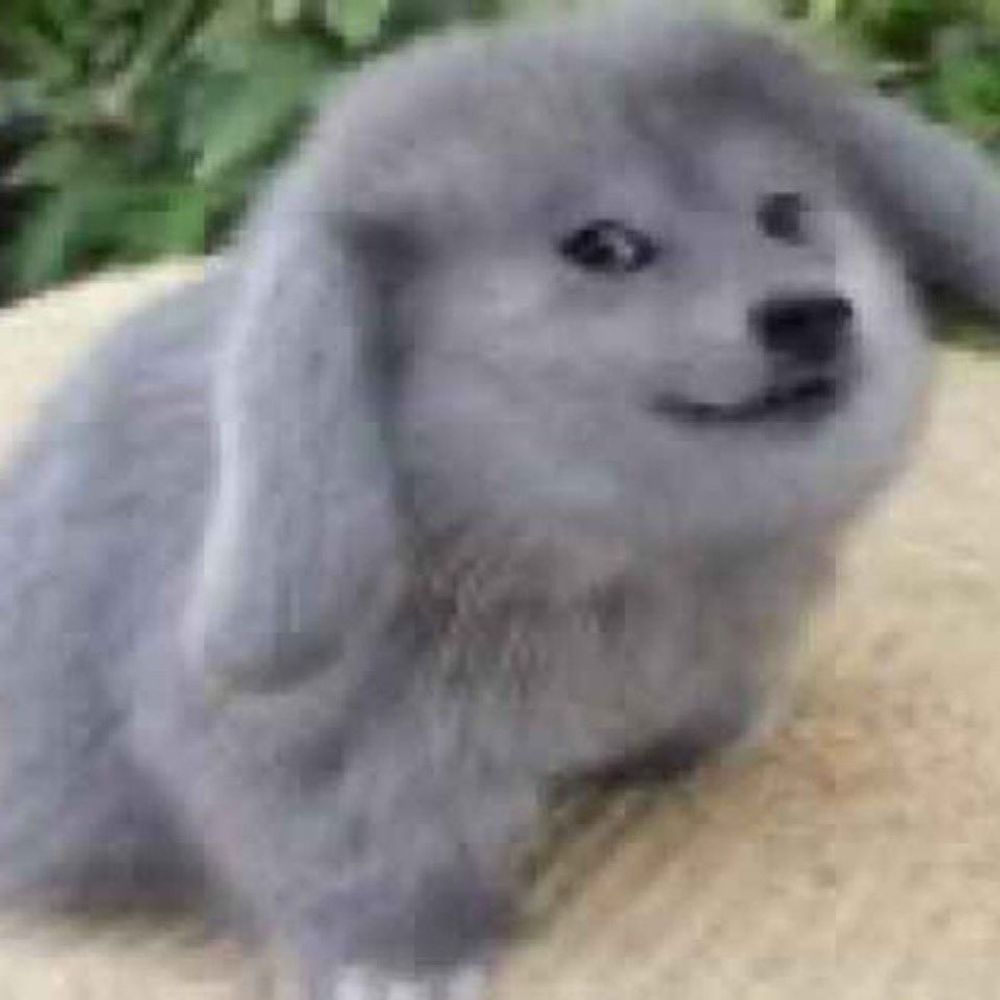 Bagel