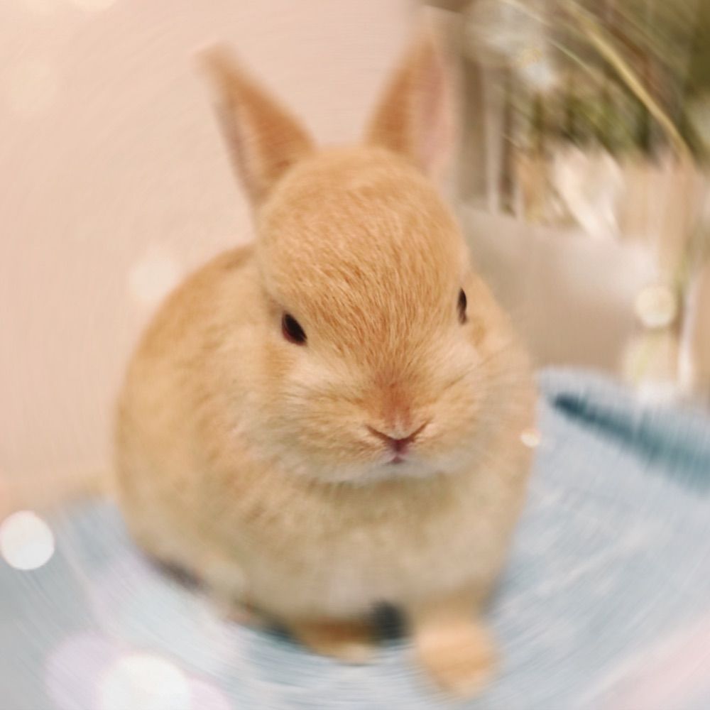 じゃがまるくん