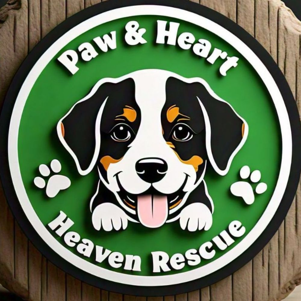 paw_and_heart_heaven_rescue_
