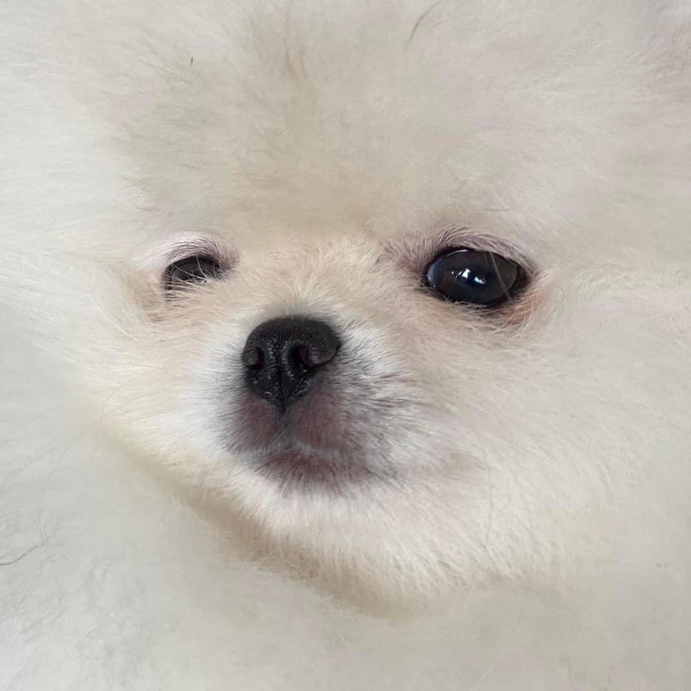 Betsuto_kun