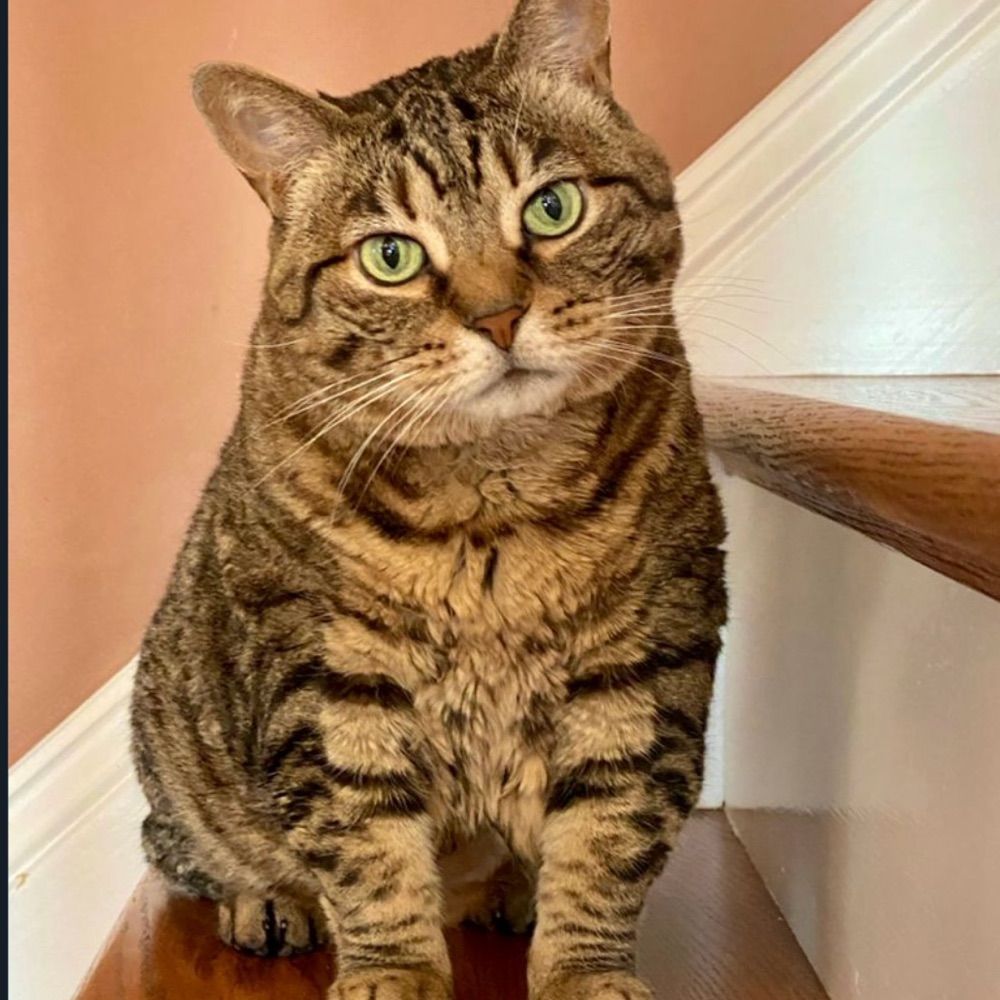 Eloise