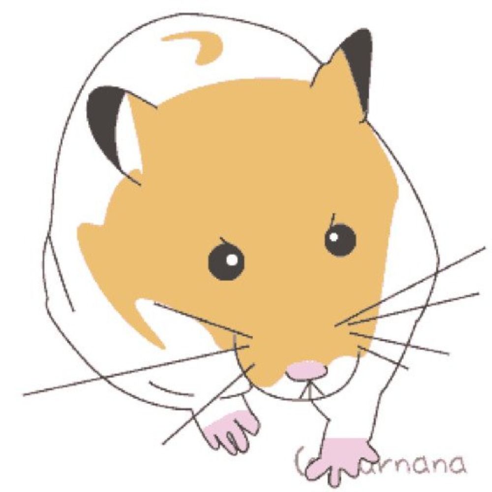 ムーナナ