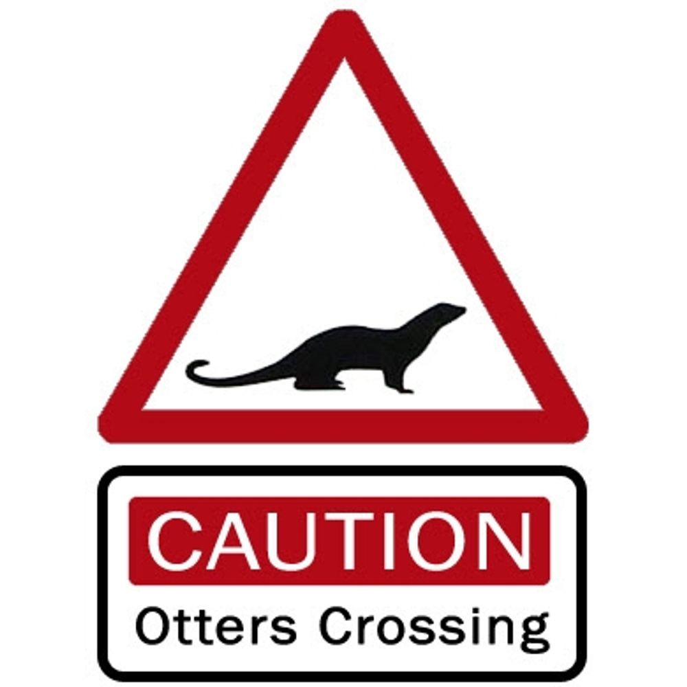 Loutre en goguette