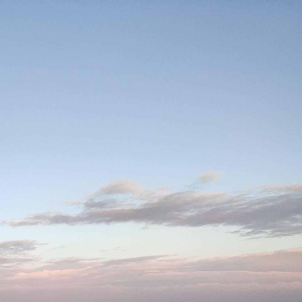 たいだる