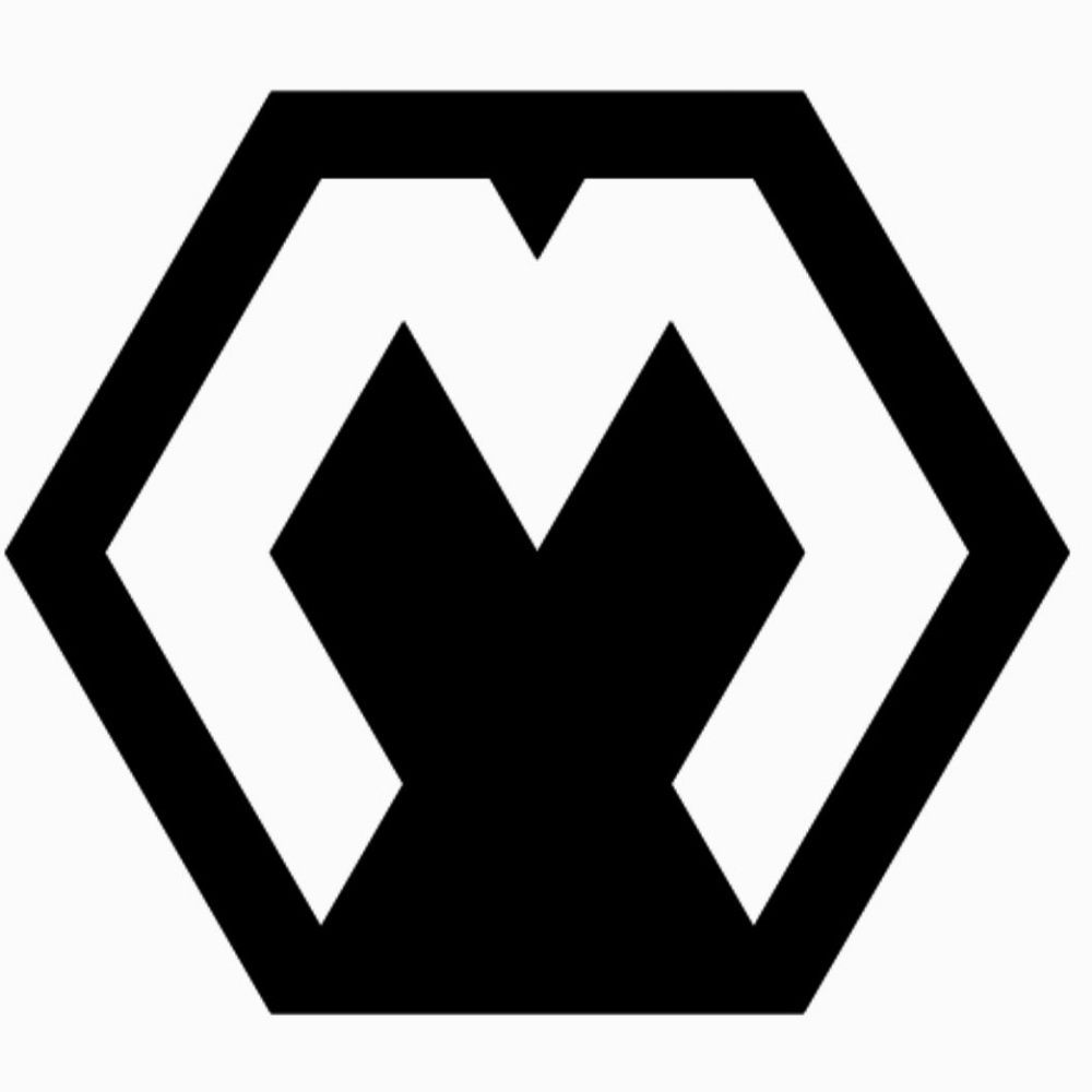 METAVOXELZ