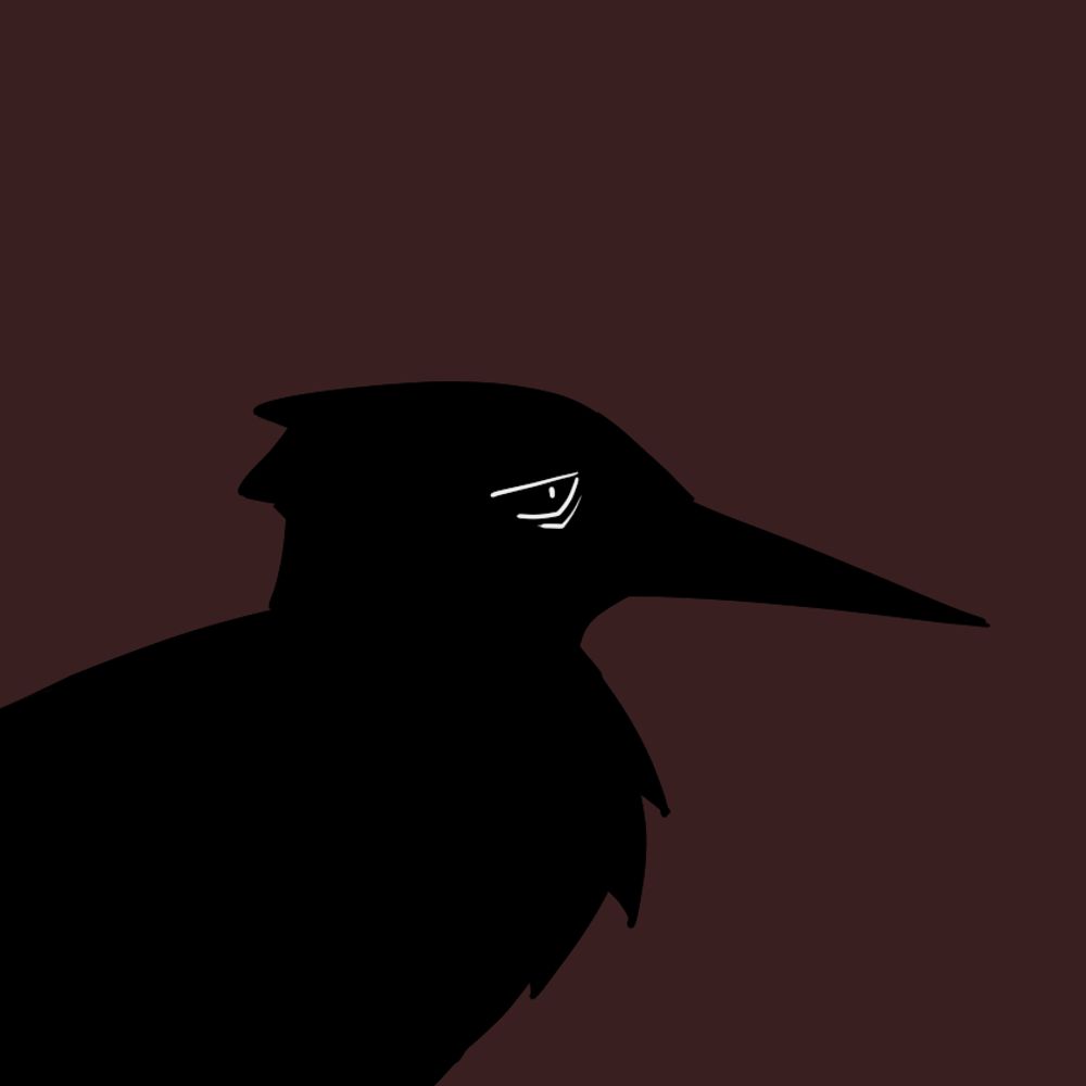 Sandwich Tern