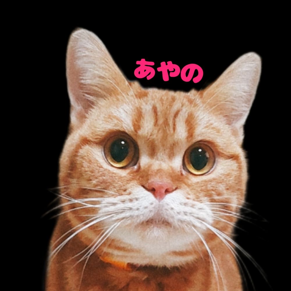アメ×スコ＊あやのちゃん