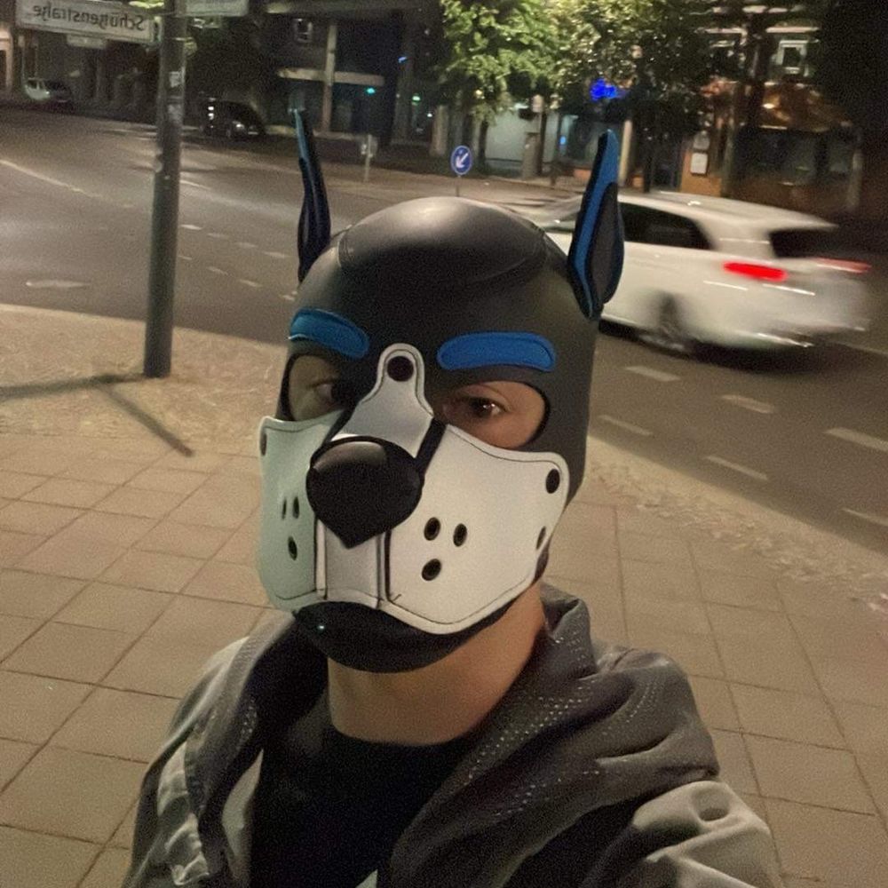 Pup Stitch