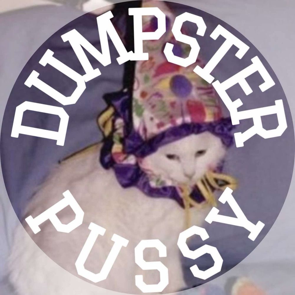 🗑️🐱