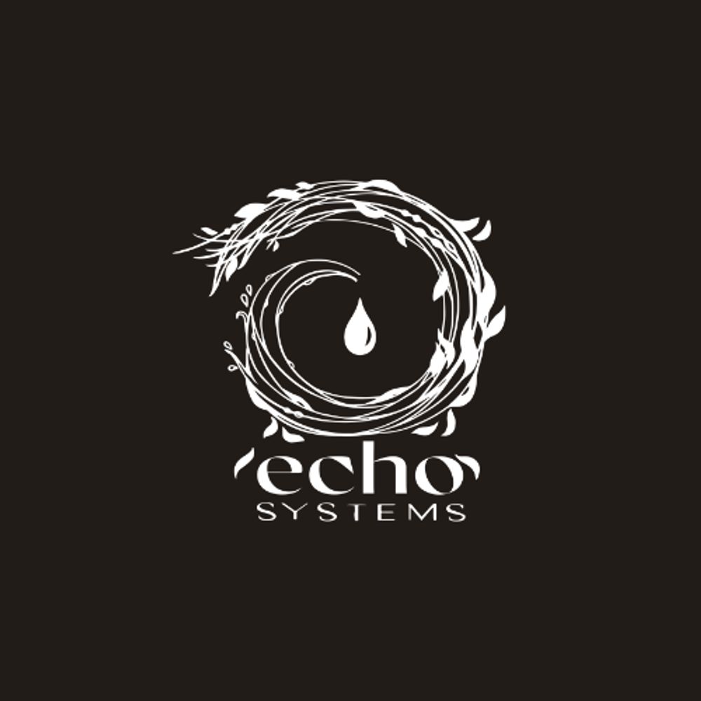 ECHO Systems 