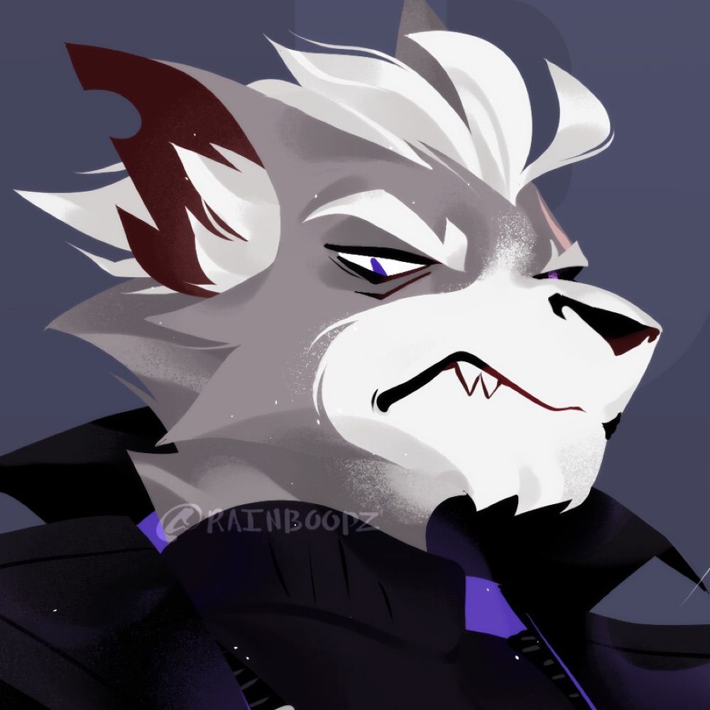 wolf