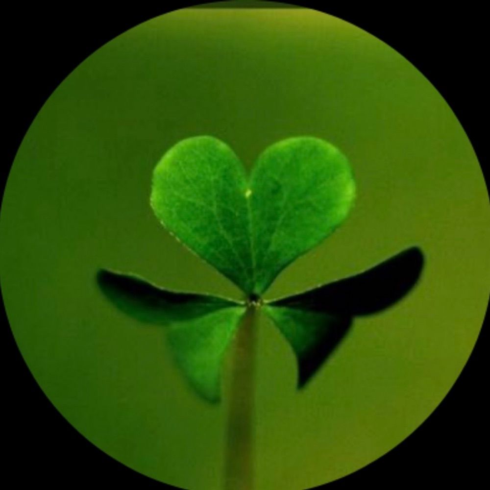 TG ☘️