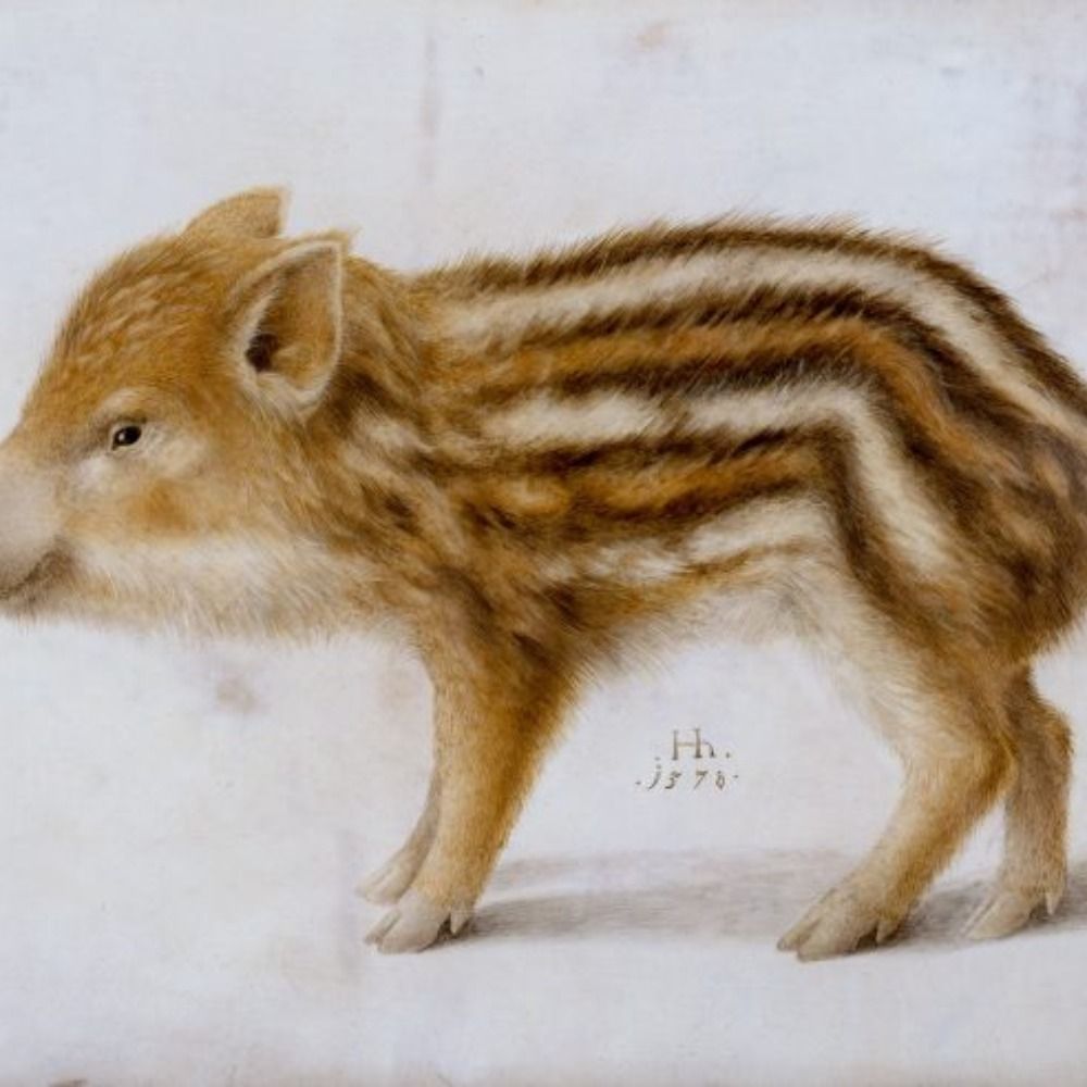 BOAR (algo)