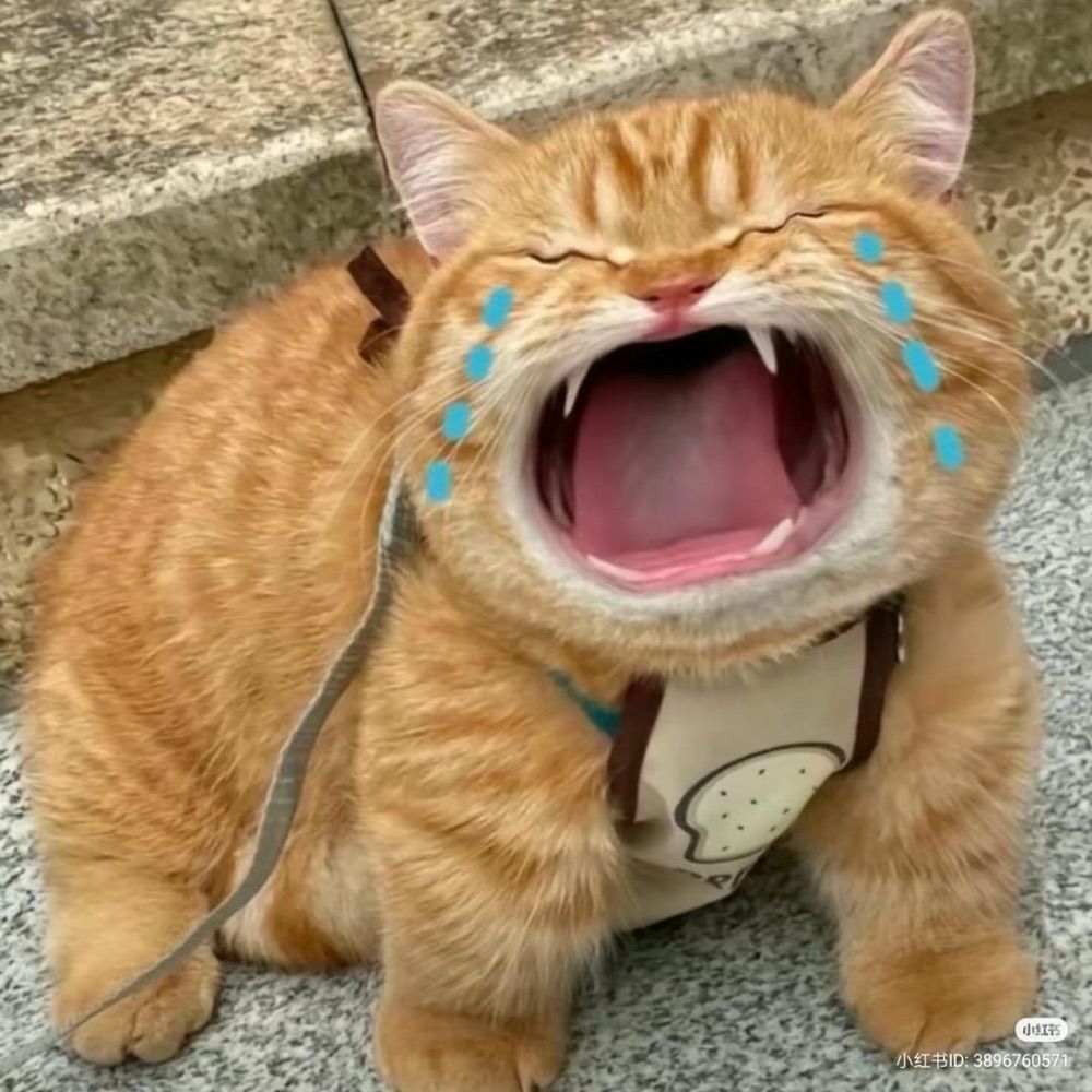 น้องกิ๋ม