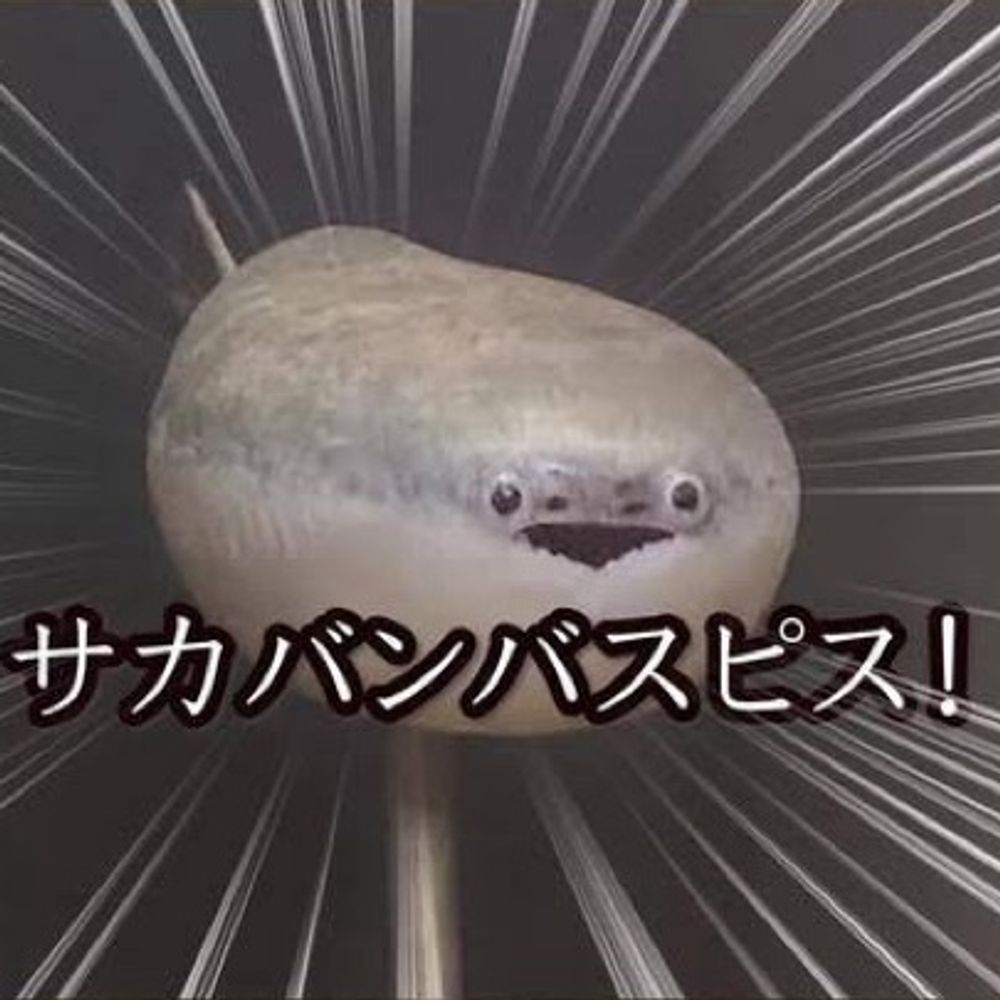 柳