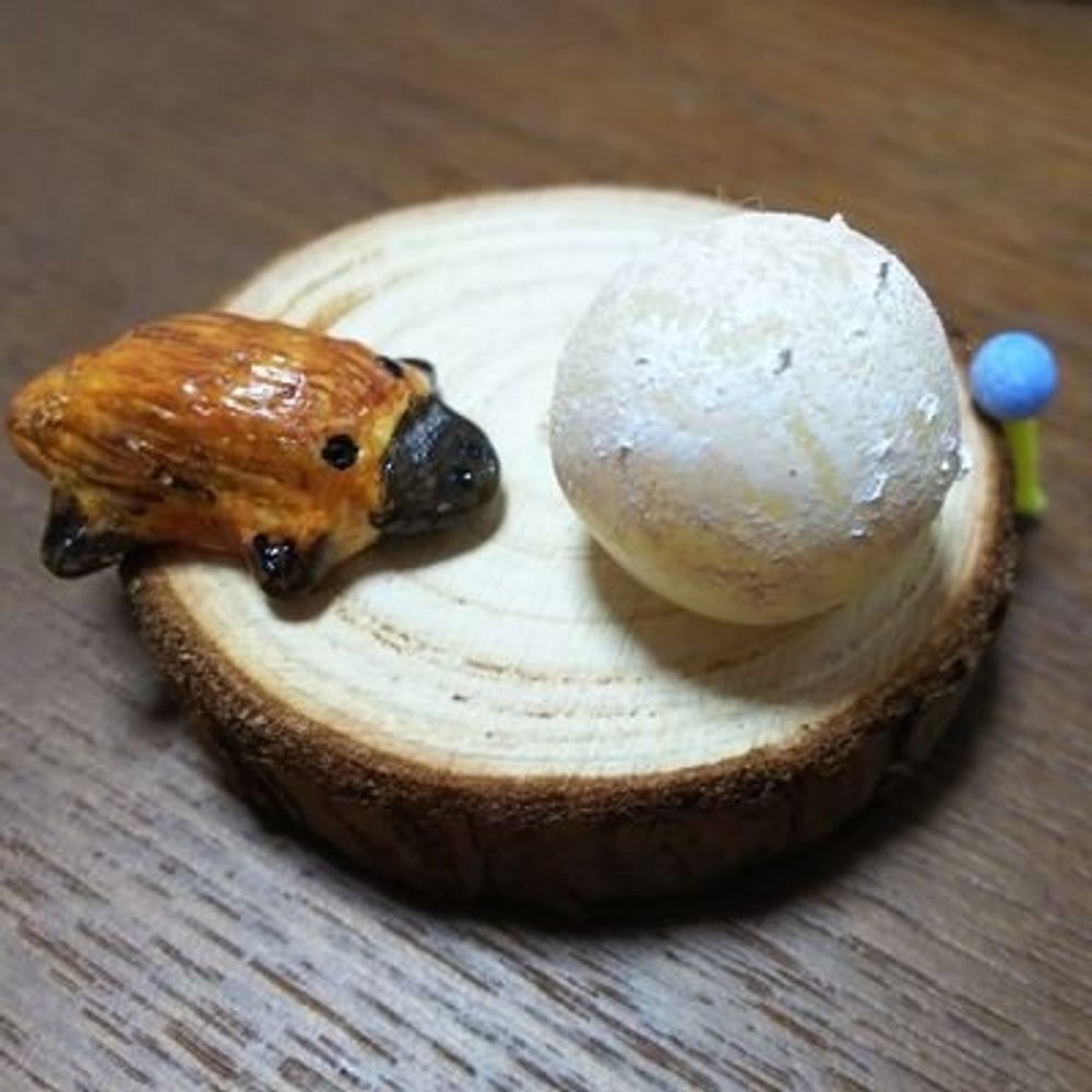 かものはし