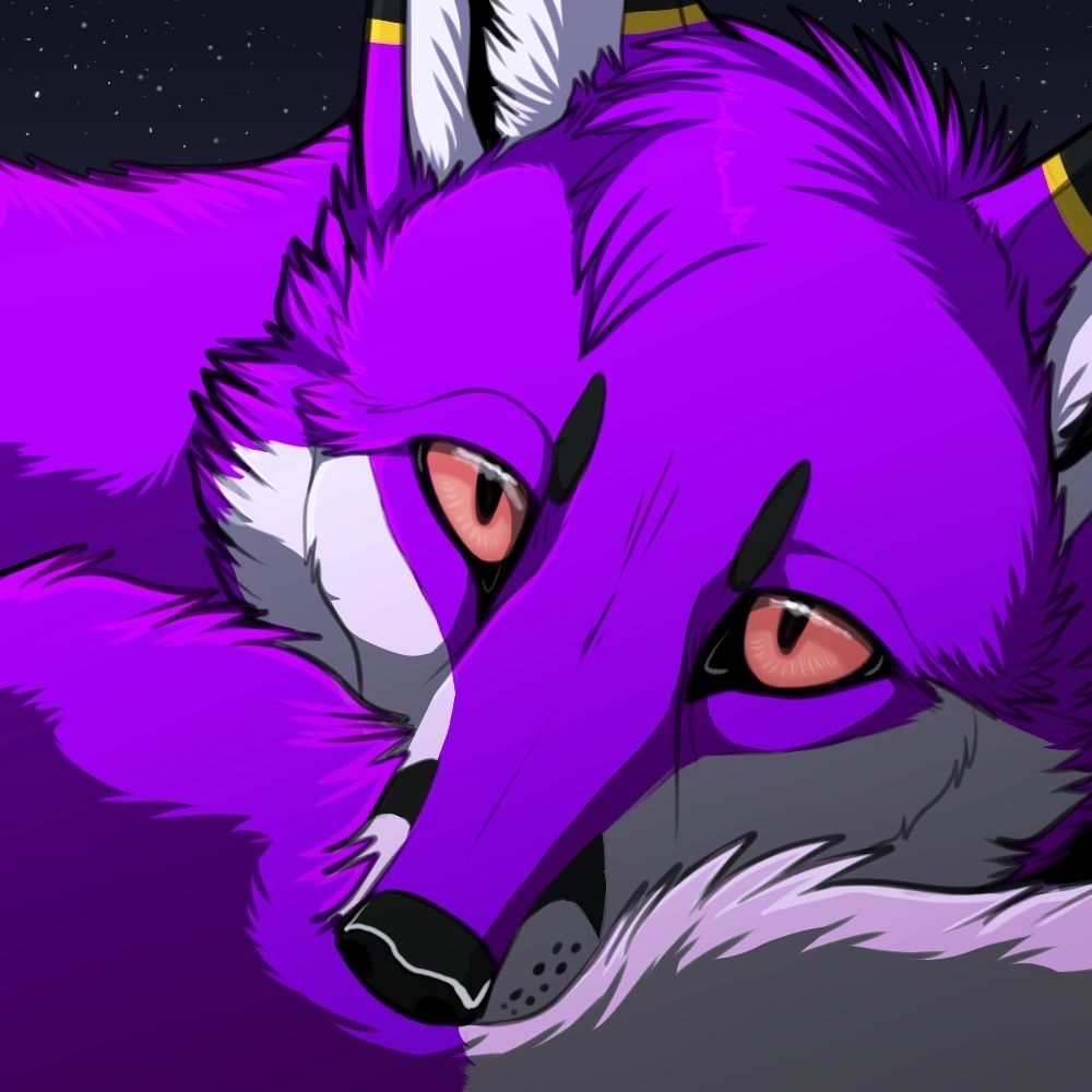Cliro Fox