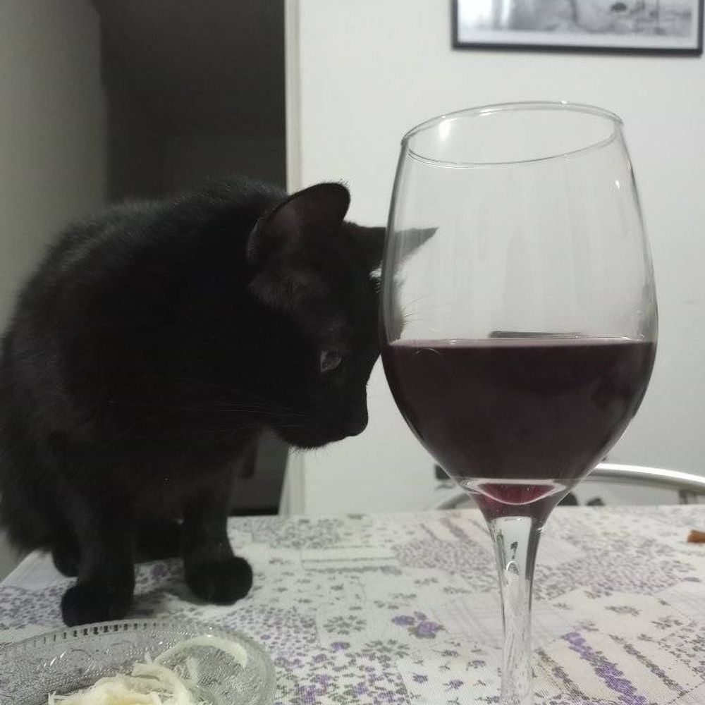 SeñoritaLimon