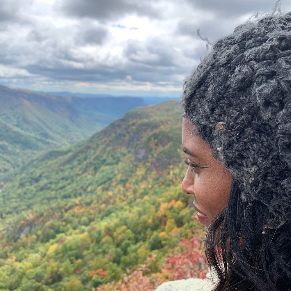 Michelle C. Johnson