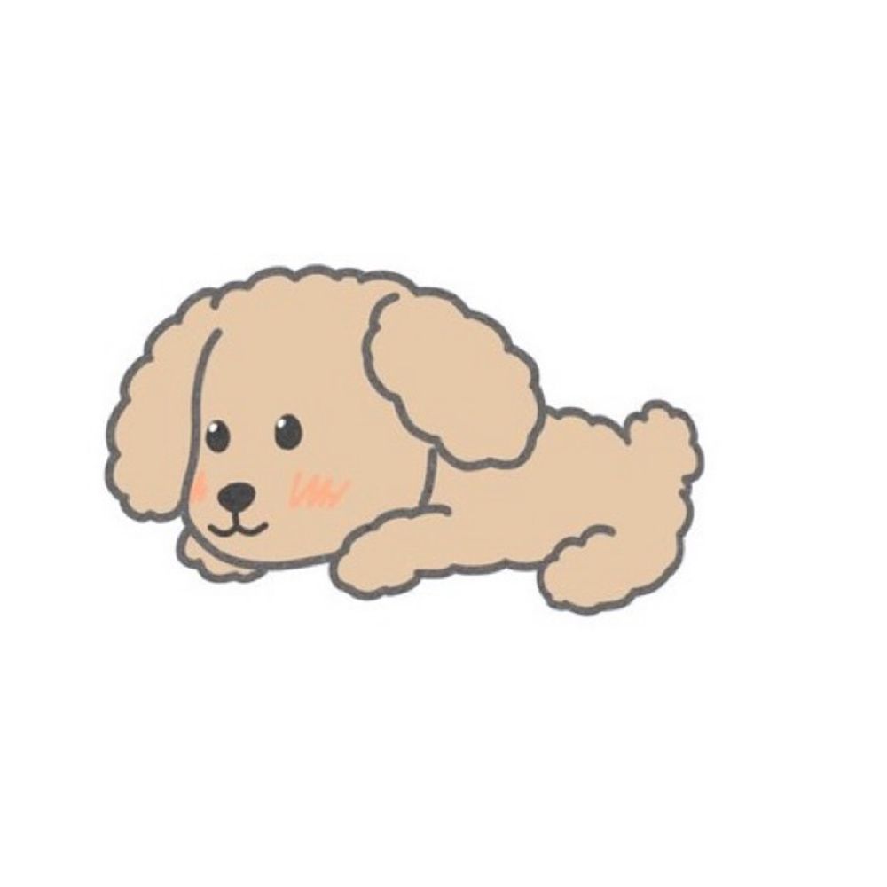 霧