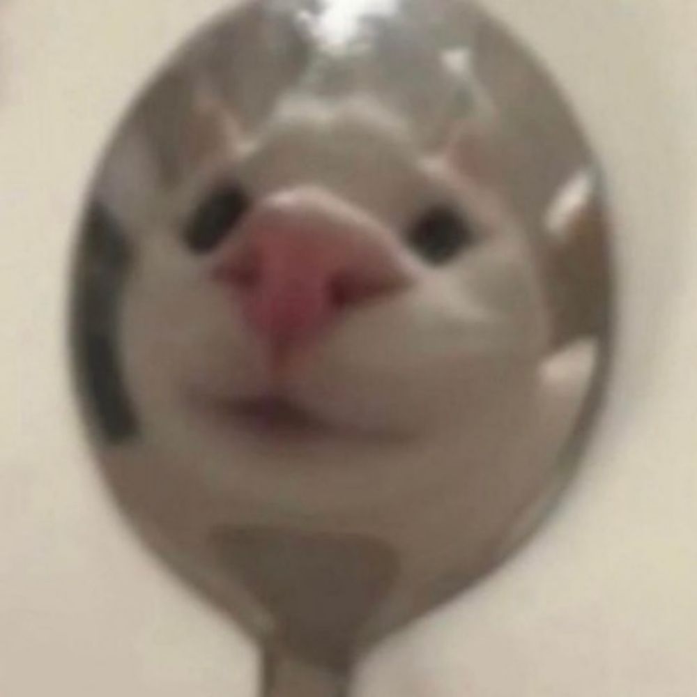 AdamMJ