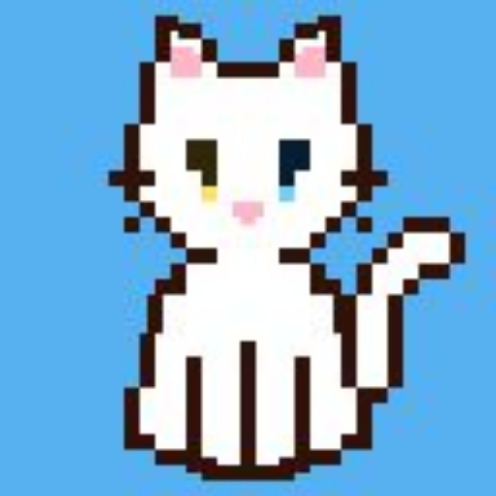 대냥냥🐱‍💻